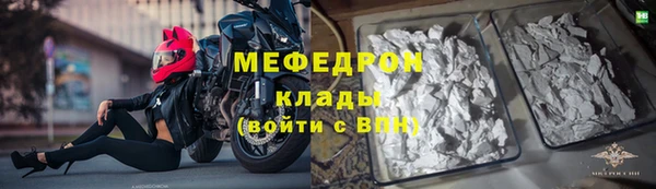 тгк Дмитриев