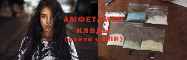 тгк Дмитриев