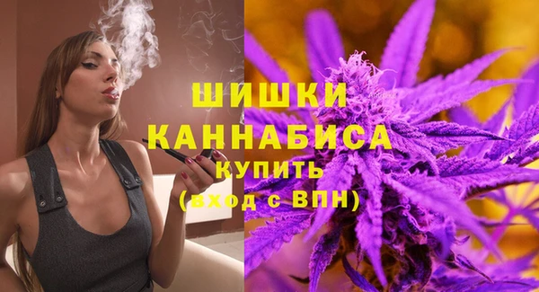 тгк Дмитриев