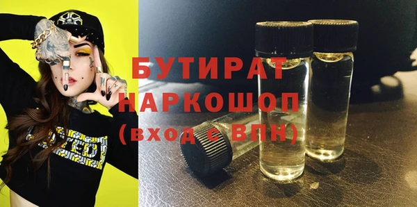 тгк Дмитриев