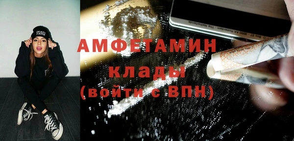 тгк Дмитриев