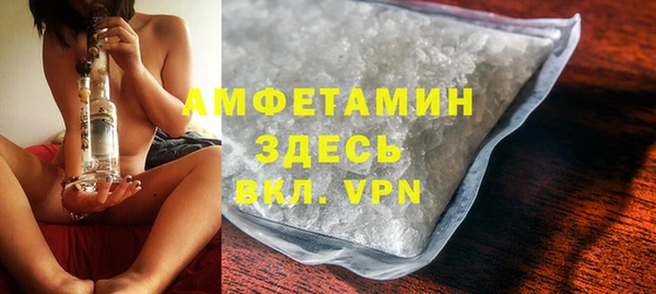 тгк Дмитриев