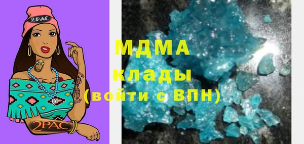 тгк Дмитриев