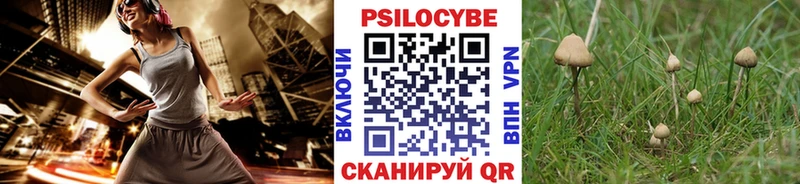 Галлюциногенные грибы ЛСД  Сретенск 